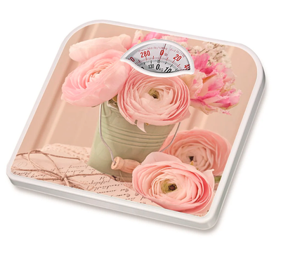 Camry BR-2015 Mechanical Weighing Scale